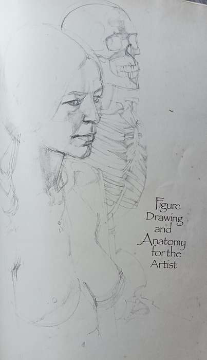 Figure Drawing And Anatomy For The Artist - John Raynes - Softcover - 256 pages