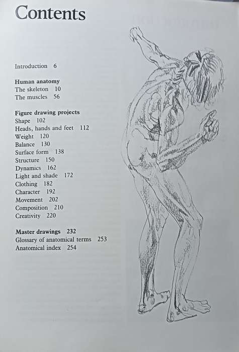 Figure Drawing And Anatomy For The Artist - John Raynes - Softcover - 256 pages