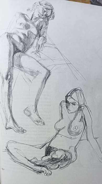 Figure Drawing And Anatomy For The Artist - John Raynes - Softcover - 256 pages