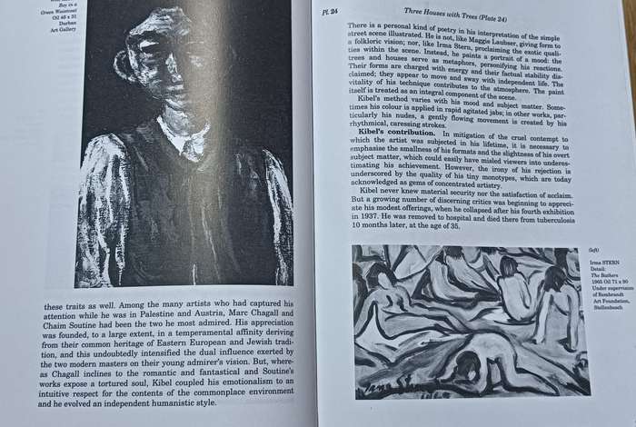 Painting in South Africa - Esme Berman - Hardcover - 395 pages & 99 Colour Plates