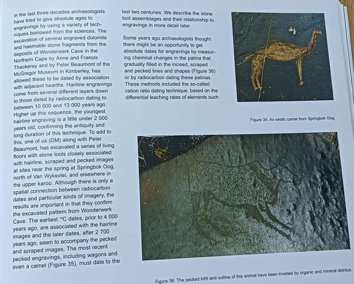 Karoo Rock Engravings - Parkington, Morris and Rusch - Softcover - 127 pages