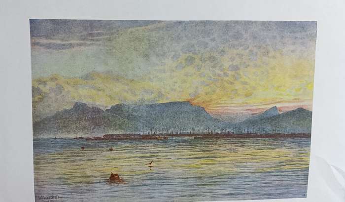 The Cape Peninsula described by Rene Juta - Hardcover - 118 pages