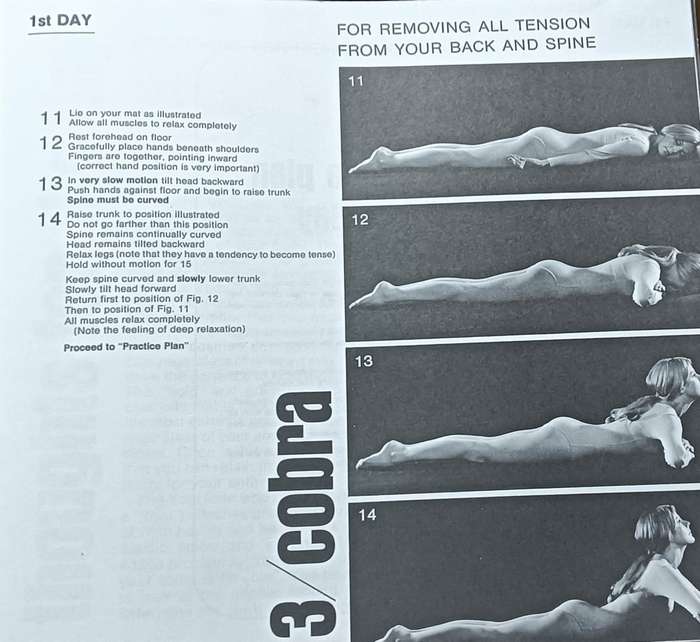 Richard Hittleman's Yoga 28 Day Exercise Plan - Softcover - Pages Not numbered