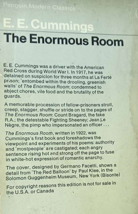 The Enormous Room - E.E. Cummings - Softcover - 269 Pages