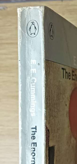 The Enormous Room - E.E. Cummings - Softcover - 269 Pages