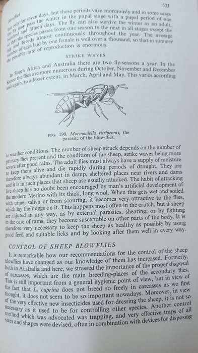 Insects in South Africa: How to Control Them - Bernard Smit - Hardcover - 399 pages