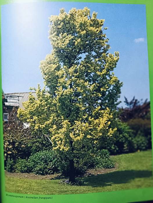 The South African Garden Manual - Hardcover - 248 pages