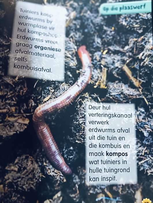 My Eerste Boek oor Plaas Diere - Softcover - 96 Pages