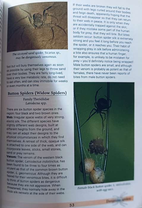 Spiders of South Africa - Astri & John Leroy - Softcover - 96 Pages