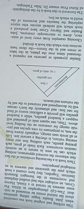 Pyramids of Life - John Reader & Harvey Croze - Hardcover - 222 Pages