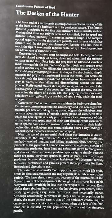 Pyramids of Life - John Reader & Harvey Croze - Hardcover - 222 Pages