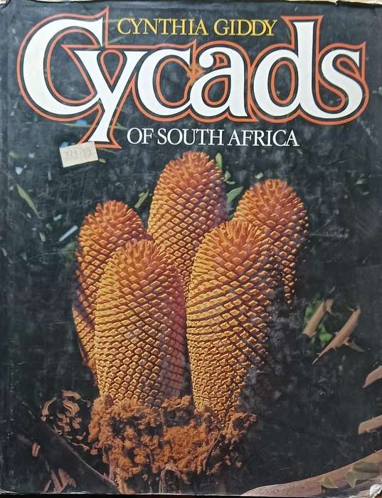 Cycads of South Africa - Cynthia Giddy - Hardcover - 111 Pages