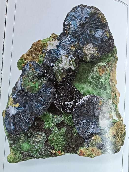 Eyewitness Handbooks Rocks And Minerals - Chris Pellant - Softcover - 256 Pages