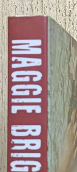 Maggie Bright - Tracy Groot - Softcover - 360 pages
