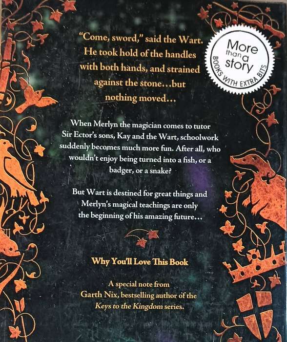 The Sword in the Stone - T.H. White  - Softcover - 358 pages