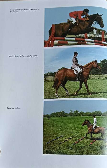 The Country Life Book of the Horse - Robert Owen (Editor) - Hardcover - 231 pages