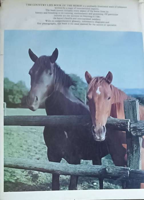 The Country Life Book of the Horse - Robert Owen (Editor) - Hardcover - 231 pages