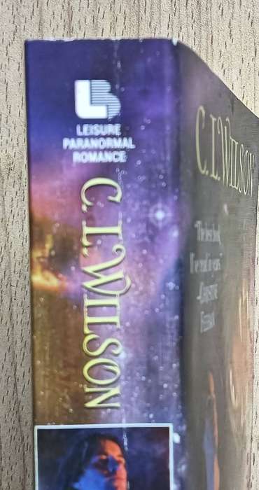 Lord of the Fading Lands - C.L. Wilson - Softcover - 402 pages