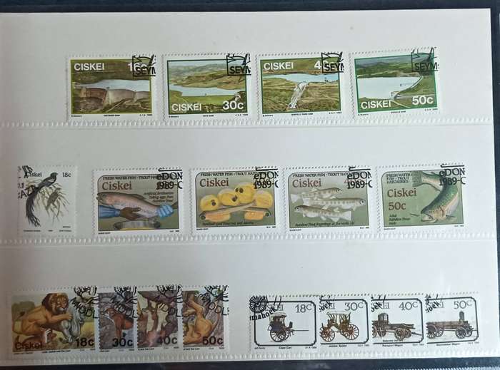 Ciskei 1989 Mounted set Complete year