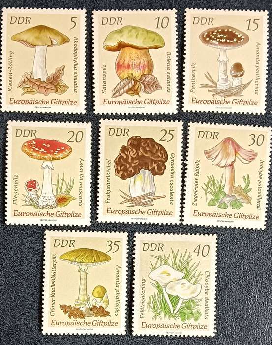 DDR 1974 Full set Poisonous Mushrooms MNH