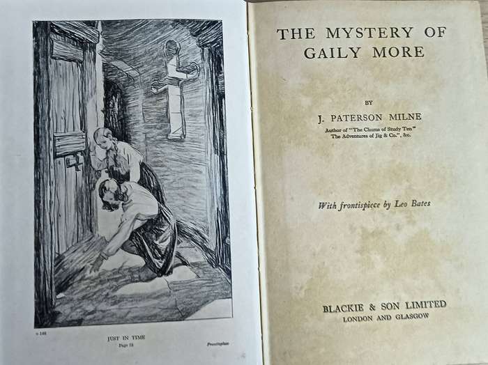 The Mystery of Gaily More - J.Paterson Milne - Hardcover - 224 pages