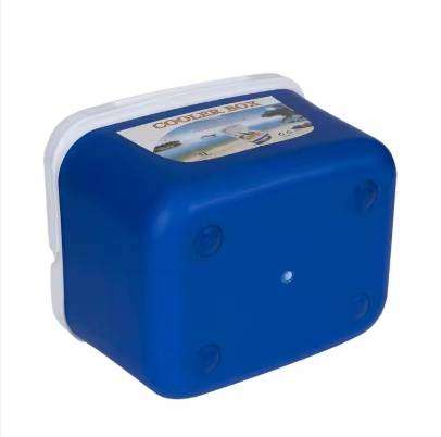 5L Cooler Square Box Portable Transport Coolbox Ice Brick Booler Beer Cooler Box