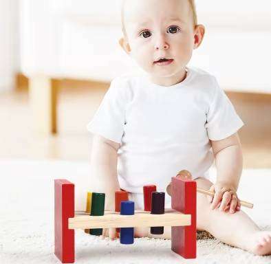 Montessori Baby For 1 Year Old Sorter Stimulation Toys 6 To 12 Months