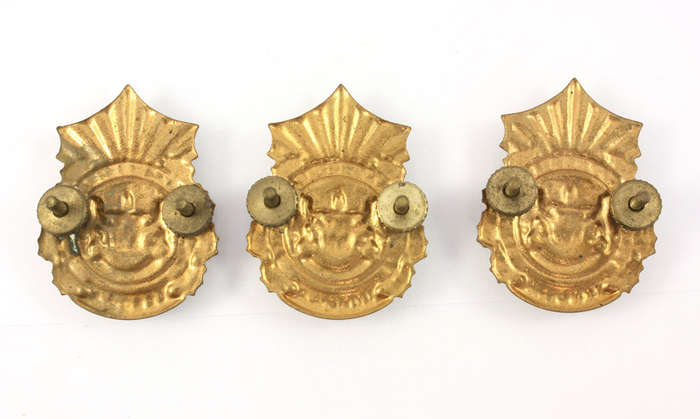 Lebowa Police Cap Badge x 3 - Homelands