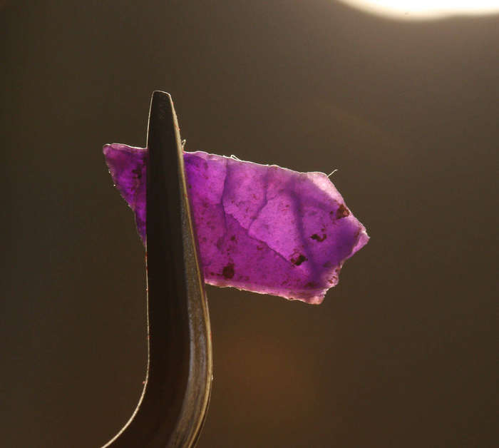 Sugilite and Bustamite - Nchwaning 2 Mine - South Africa