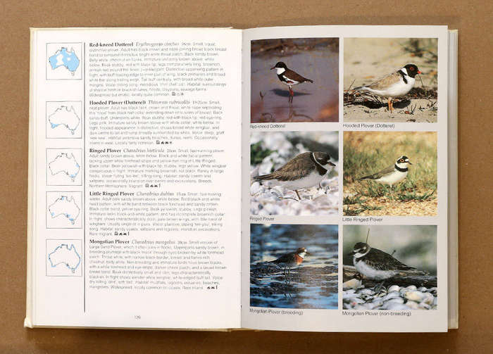 Birds of Australia - Photographic Field Guide - 1994