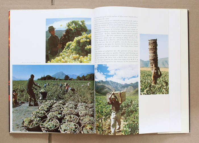 Sherry in South Africa - G.H Calpin