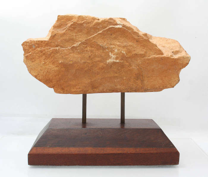 Fossil Casting
