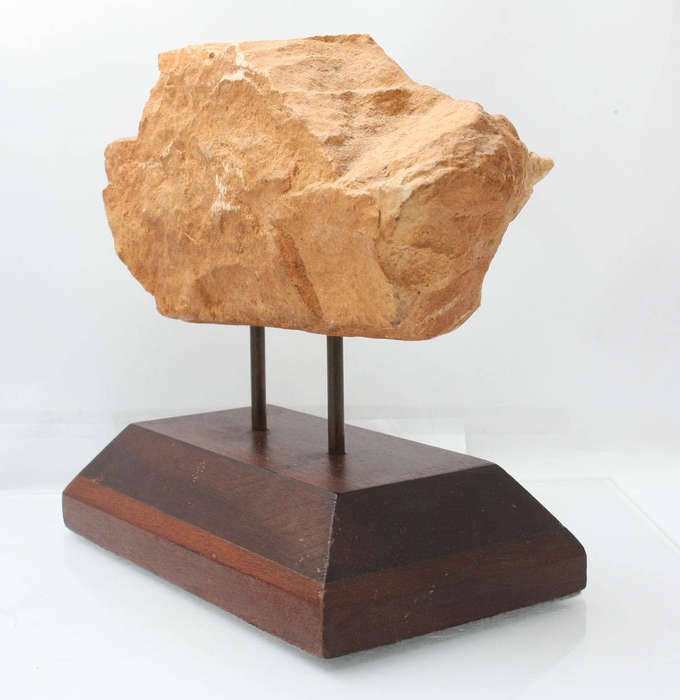 Fossil Casting