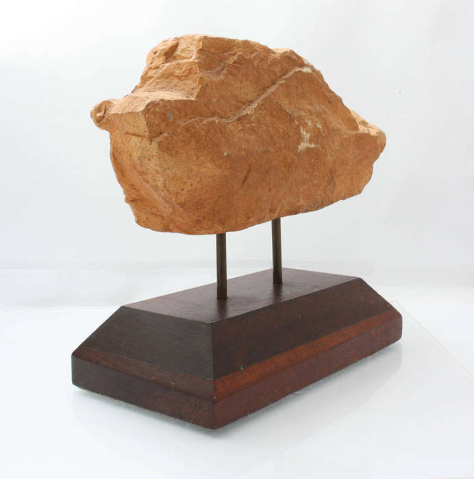Fossil Casting