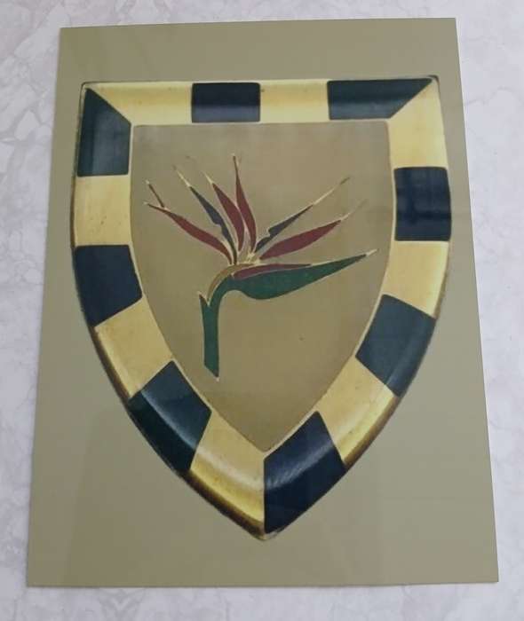 6 SA Infantry Battalion Insignia