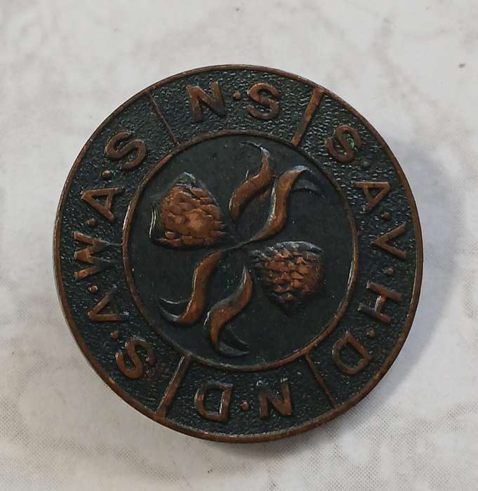 SAWAS / SAVHD Lapel Badge