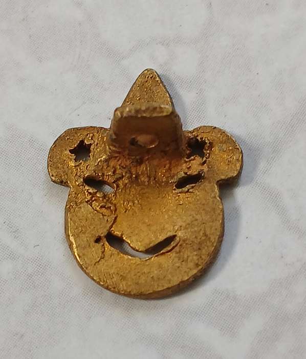 Boy Scout Lapel Badge