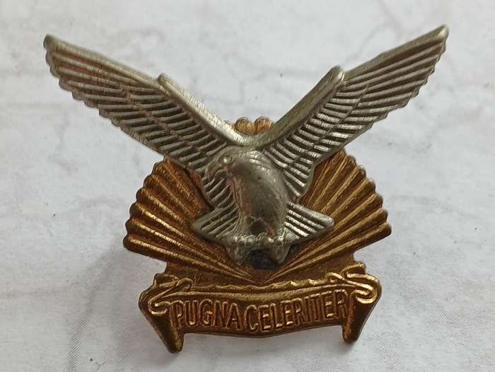 Durban Regiment Collar Badge