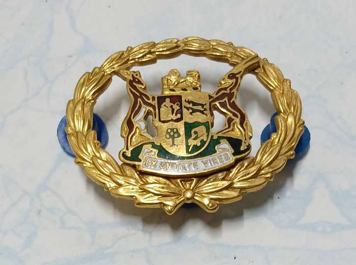 Warrant Officer's Rank Insignia