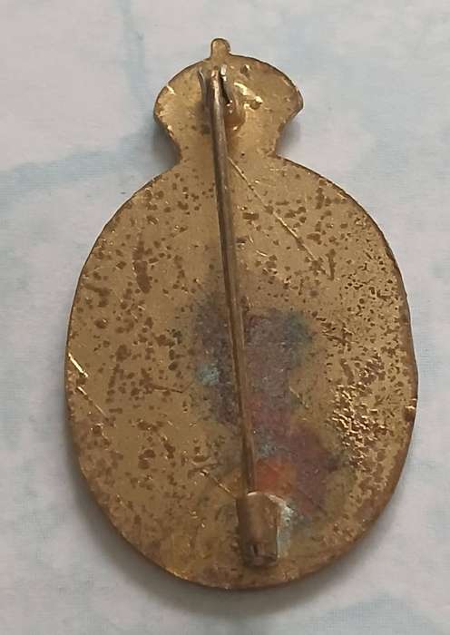SA Corps of Signals Lapel Badge