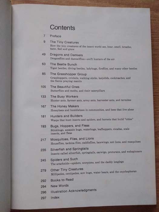 The Bug Book A Childcraft Supplement