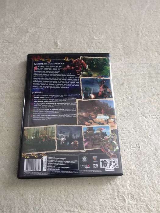 PC Game Silverfall