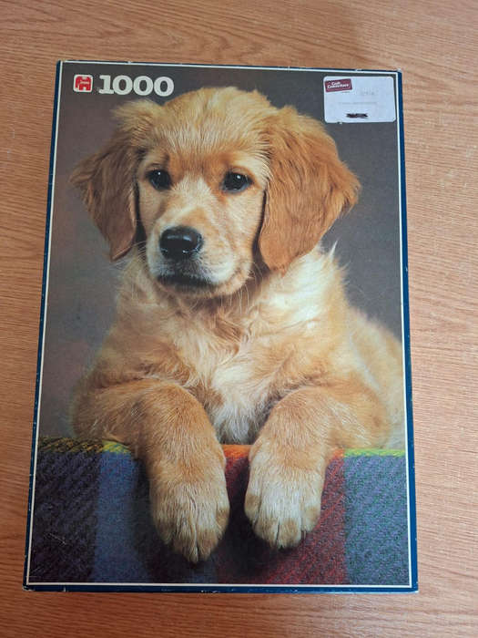 1000 Piece Puzzle Golden Retriever Puppy