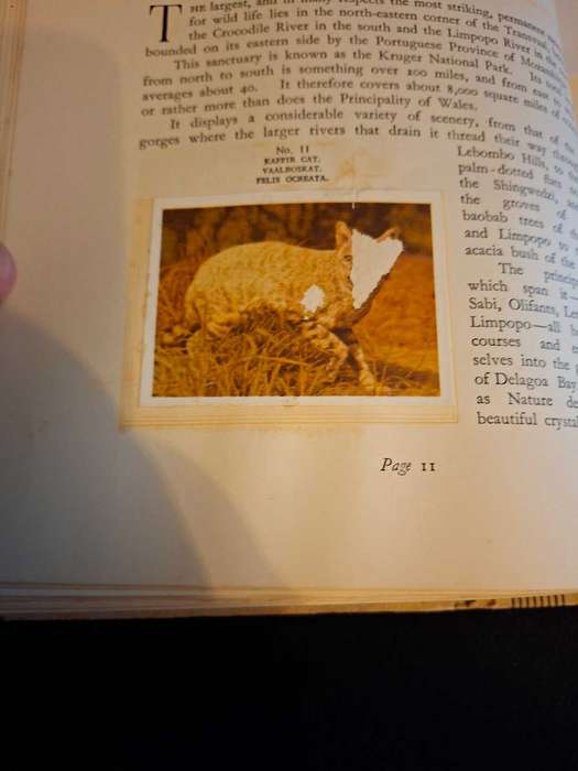 Our South African National Parks Cigarette Book