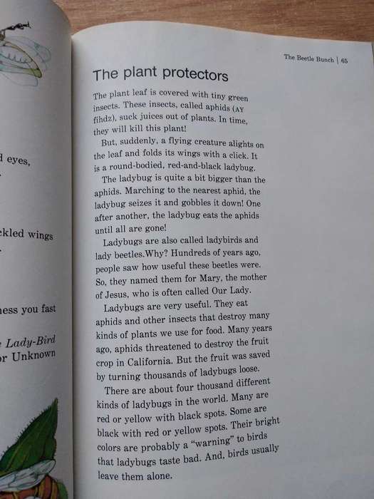 The Bug Book A Childcraft Supplement
