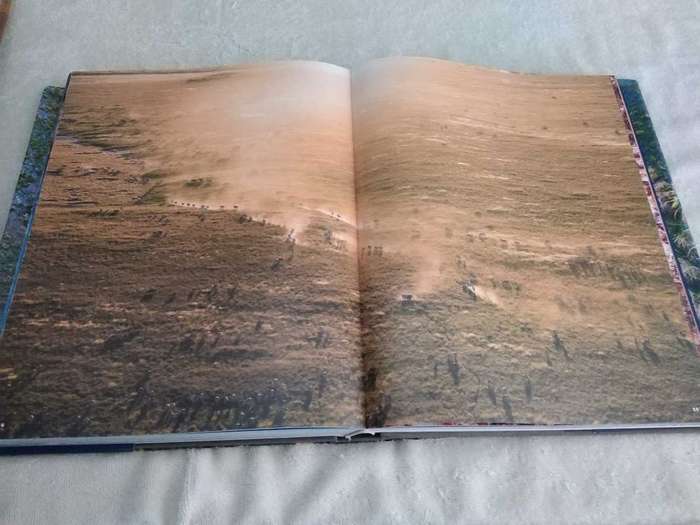 Michael Poliza Eyes over Africa