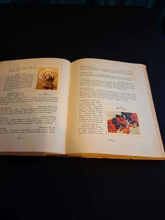 Our South African Flora Cigarette Book