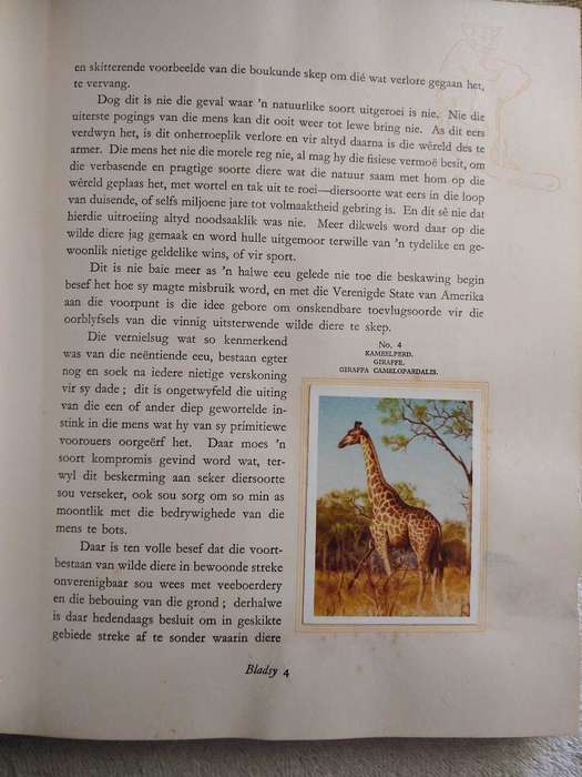 Our South African National Parks