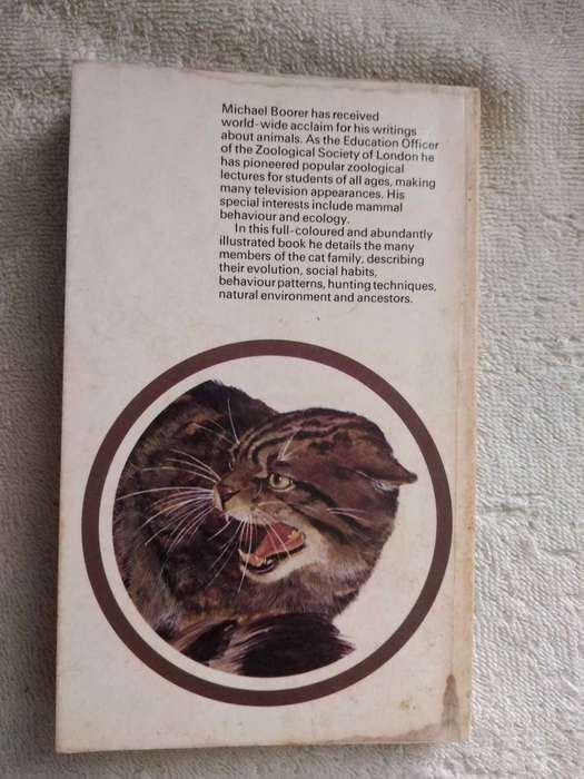 Michael Boorer Wild Cats
