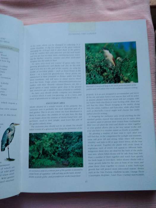 Attracting Birds to your Garden in Southern Africa Roy Trendler & Lex Hes